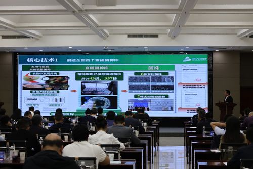 2025企創融通匯富硒產業專題現場活動成功舉辦，信息技術咨詢服務賦能產業升級