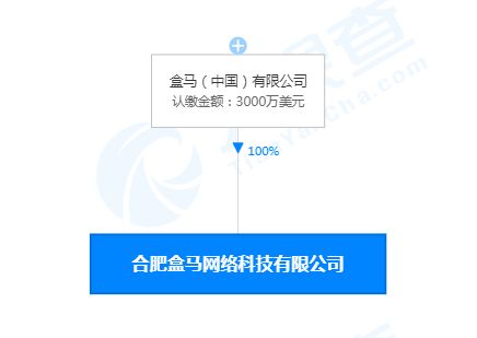 合肥盒馬網絡科技公司成立，注冊資本3000萬美元聚焦網絡信息技術